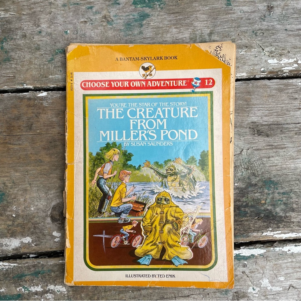 Choose your own adventure paperback book